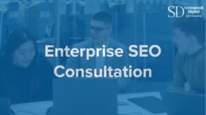 Enterprise SEO Consultant